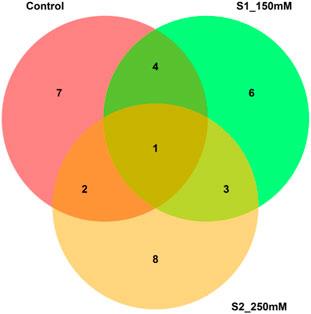 A GBS-based genome-wide association study reveals the genetic basis of salinity tolerance at the seedling stage in bread wheat (Triticum aestivum L.)